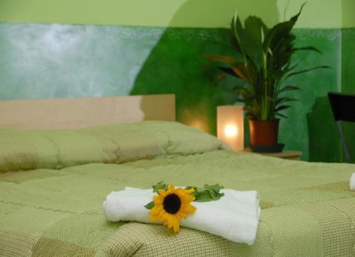 On The Rainbow B&B Roma Ngoại thất bức ảnh